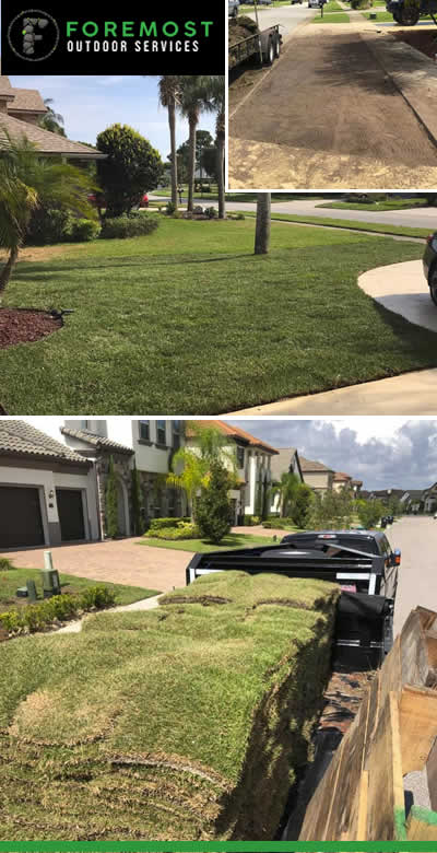 The Sod Installation Process